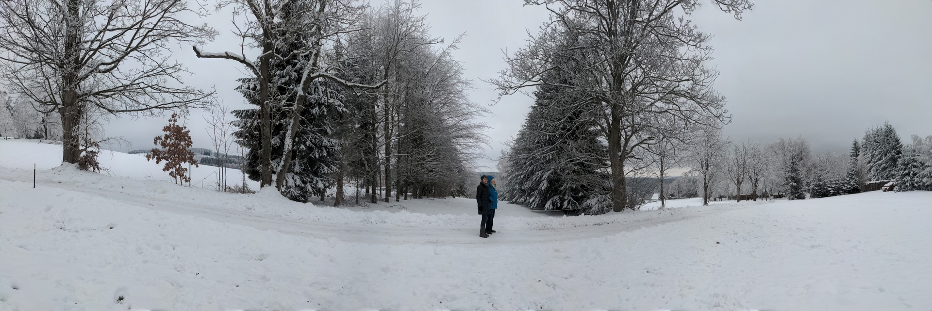 winter_20230128_ad_b1920 (Foto: A. Dörfelt)